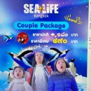 방콕 아이와 가볼만한 곳 : 씨라이프 오션월드 아쿠아리움 후기 * 태국인 요금 적용 방법