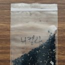 나눔 - 해운대구 좌동순환로 502 | "설렘 가득, 정성이 담긴 씨앗 나눔 후기"