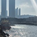 시원하지흉부외과의원 | ['25 부산 여행]짧지만 너무나 행복했어!(부산 맛집 ft. 부산 시원하지 흉부외과 &amp; 예수회 남정수 신부님)