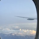 가든 오브 클라우드 | 싱가포르 여행 3박 4일 일정과 후기(물가가 비싼 나라다 이말이야)