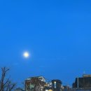 윗잔다리어린이공원화장실 이미지