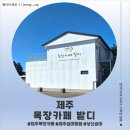 엄지목장 | <제주도 서귀포> 제주 승마 체험 가능한 '목장카페 밭디' 후기