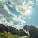 머드광장 관광안내소 | 일본 본토 최남단 사타곶 사타미사키 공원 전망대 방문, 주차, 관광안내소, 최남단 도달 증명서 받기