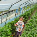 채니농장 이미지