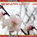 발랑낚시터 이미지