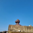 문경의 운달산, 수리봉, 성주봉,(2021,4,10)