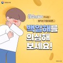 백일해 예방수칙 홍보자료 이미지