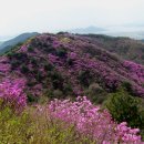 4월 고려산 진달래꽃 산행 공고 이미지