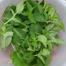 아침농원 이미지