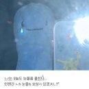청구사 이미지
