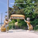아라메길 (구도범머리길-긴 노선) | [서산] 가로림만 범머리길 트래킹에 실패하다. #RoAD