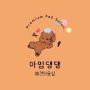 아임댕댕 이미지