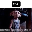 dobby is a free elf? 🥹 이미지