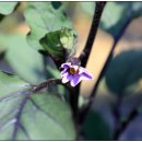 재학농장 이미지