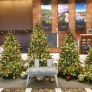 오가면주민자치센터 이미지