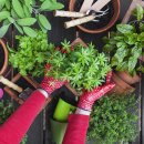 홈가드닝 이미지