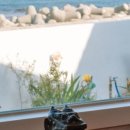 두꺼비 민박 이미지