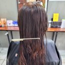 미헤어창조 이미지