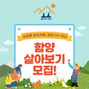 종암농장 | 함양여행 함양ON데이 여행을 일상처럼 함양 필수 여행지 개평마을 미스터 선샤인 촬영지 함양 살아보기