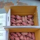 여주-0048 이미지