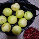 아미르하우스 이미지