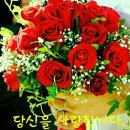 수요일 이미지