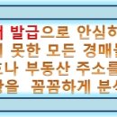 서리풀6길 10-3 이미지