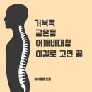 포항시내승모근관리 거북목, 굽은등, 어깨비대칭 고민 끝