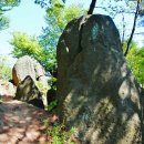 도비산 등산로 이미지