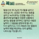 콩깍지 이미지