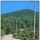 강구농협 달산지점 이미지