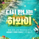 (주)하와이여행