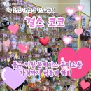 행복잡화 | [대구소품샵][동성로] 잡화 천국 ✨ 걸스코코 잡화소품점 노글루속눈썹 리뷰 (내돈내산)