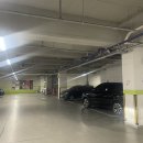 대게나라 평택점 | 가족외식 추천 대게나라 평택점 방문후기