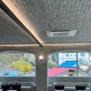 주식회사 반려동물 이미지