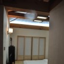 포레스트12 이미지