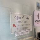 부평문화로66번길 | 인천셀프스튜디오 부평사진관 예뻐서, 봄 부평점 방문 후기