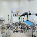 멍뭉이네 살롱 | 부산당감동 스파 애견미용 예쁘게 잘하는 멍뭉이살롱
