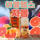 이엘랩스