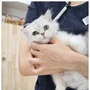 전북동물의료센터 이미지