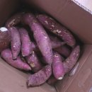 맛샘푸드 이미지