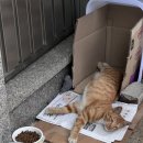 코코옷수선 이미지