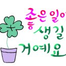 그린디 이미지