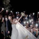 베일리 베일리 | 더링크호텔 본식스냅 베일리홀 웨딩 후기