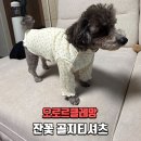 도도의류소매 | 강아지실내복 오로르클레망 잔꽃 골지티셔츠 퍼플 실착 후기