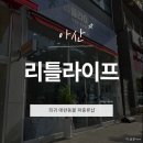 샵노래연습장 | 아산 희귀애완동물 파충류샵 리틀라이프 방문 후기｜크레스티드게코 용품 구매 후기