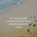 에인 이미지