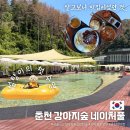 아이럽래쉬 | 춘천 반려견 동반 여름휴가 추천, 강아지숲 네이처풀 내돈내산 후기
