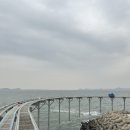 씨유대천분수광장점 | 대천 스카이바이크 웨이팅 후기 온라인 예매 방법