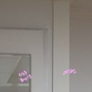 32평 공포의 체리몰딩 셀프페인트칠 팬톤페인트 후기 꿀팁 (11-0103 Egret)